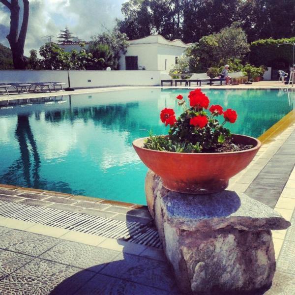 Hotel Al Bosco Forio di Ischia 외부 사진