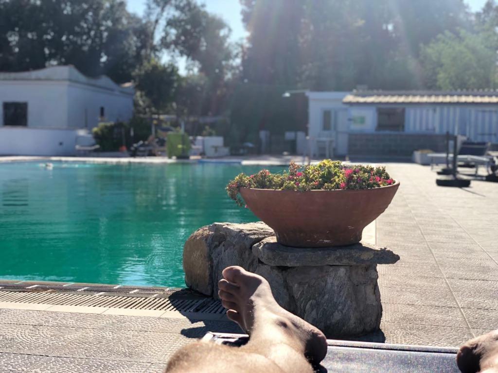 Hotel Al Bosco Forio di Ischia 외부 사진