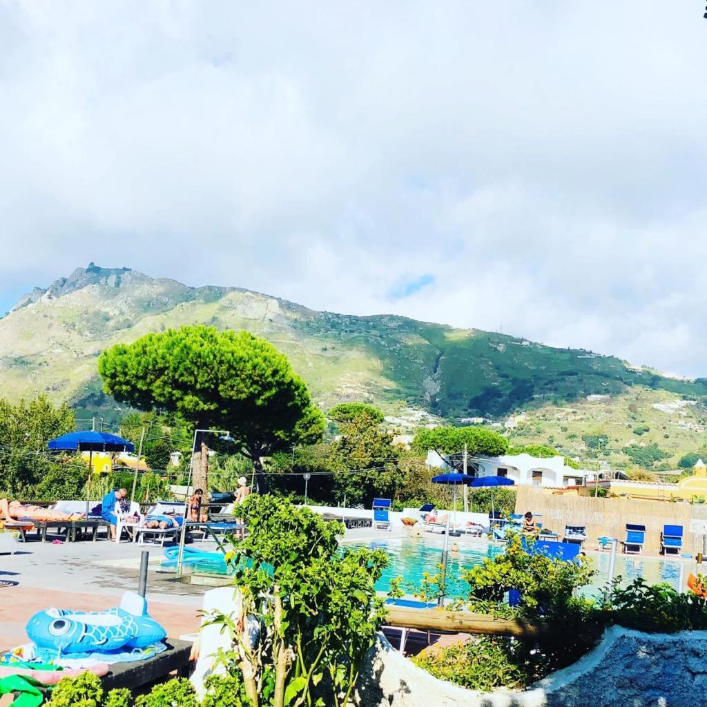 Hotel Al Bosco Forio di Ischia 외부 사진